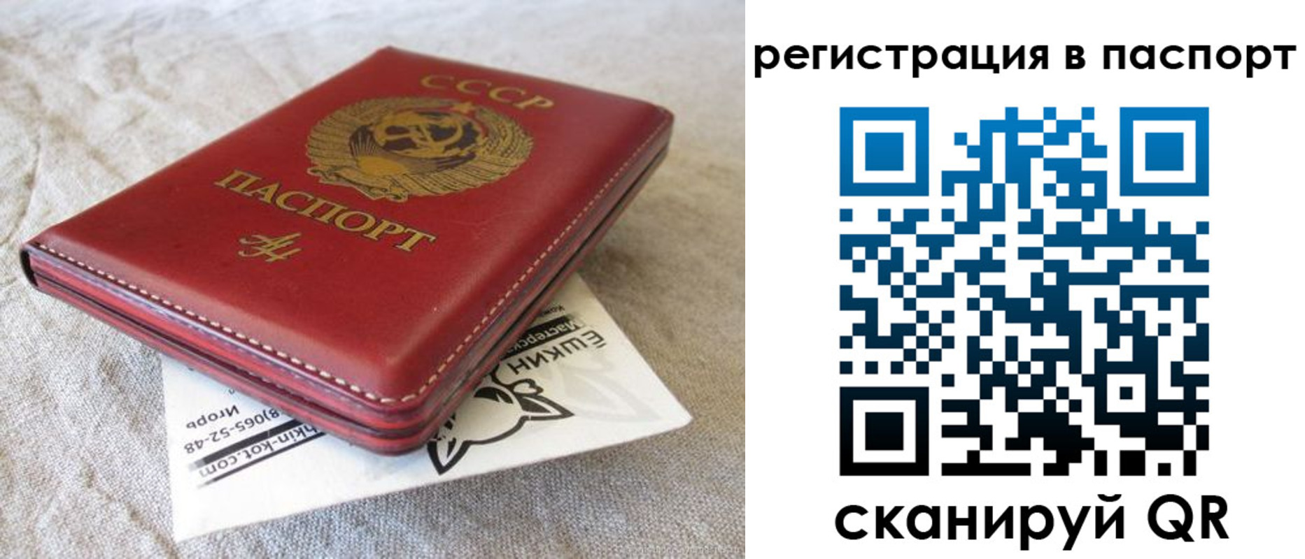 где прописаться в Котельниче